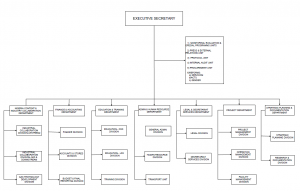 Organogram – PTDF